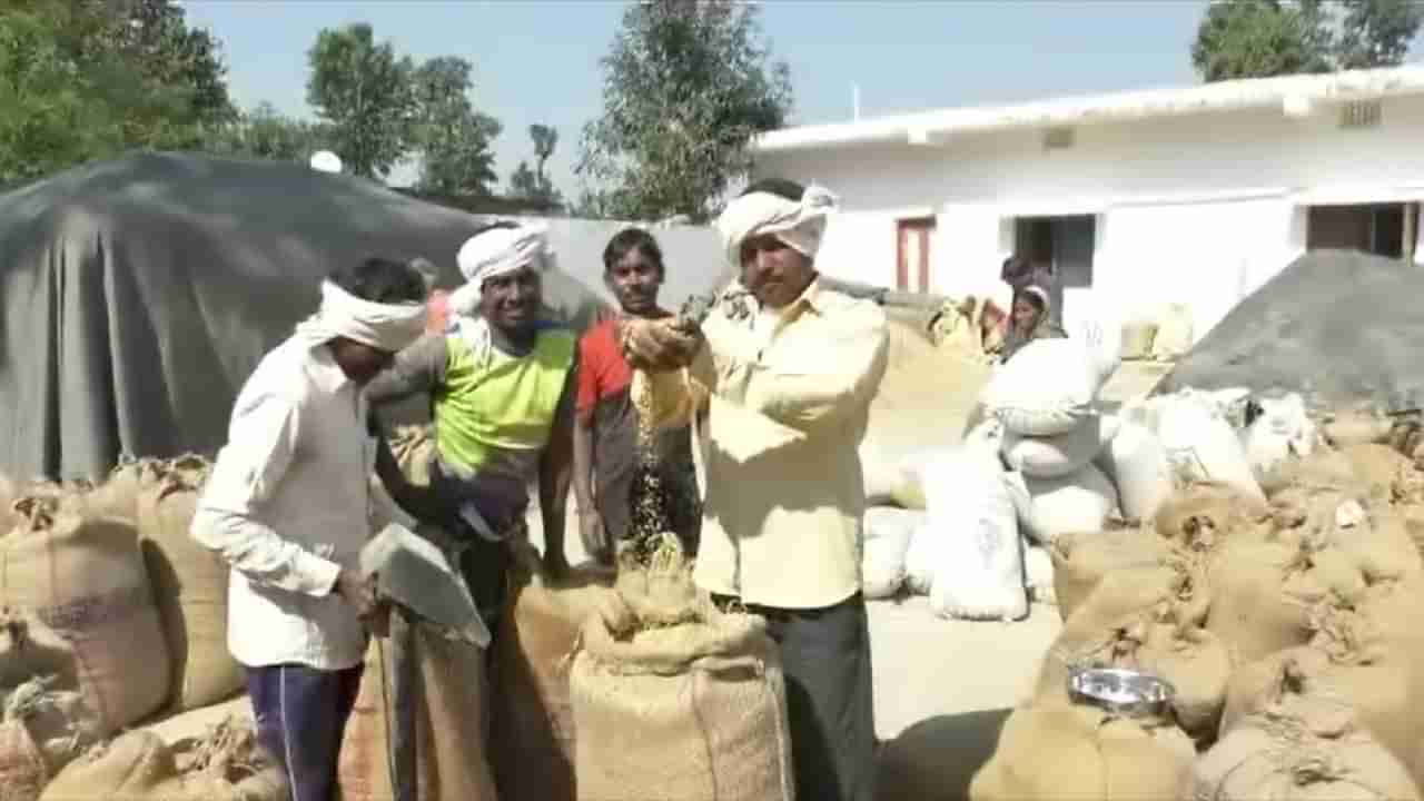 Agriculture news : मुख्यमंत्र्यांची घोषणा पोकळ ठरणार का ?, दोन महिने उलटूनही जीआर नाही