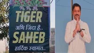 ‘टायगर अभी जिंदा है’, परळीत कार्यकर्त्यांची बॅनरबाजी; 50 फुटी पोस्टरची चर्चाच चर्चा!