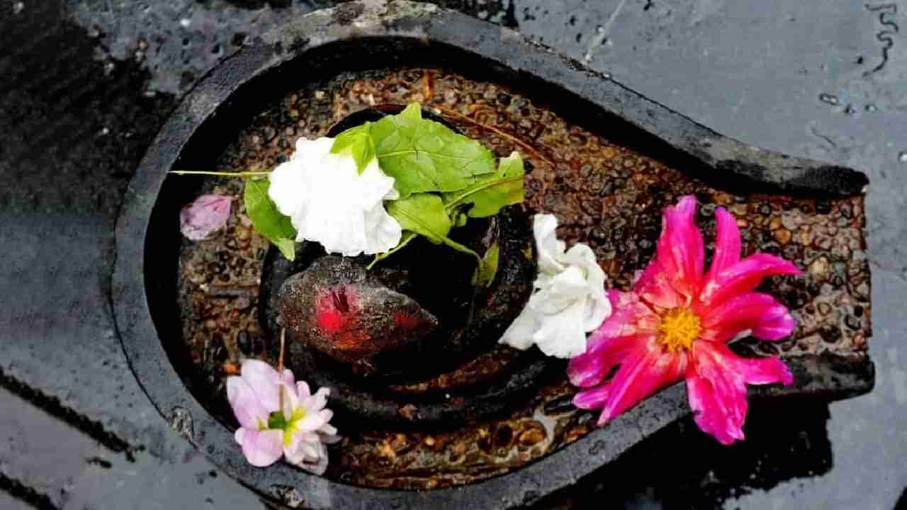 Mahashivratri 2023: महाशिवरात्रीच्या दिवशी शिवलींगावर अर्पण करा या गोष्टी, भोलेनाथाच्या कृपेने सर्व मनोकामना पुर्ण