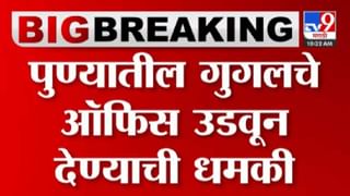 ‘ही’ कृष्णमूर्ती पाहून भले भलेही म्हणतील काय आहे हे ? काय आहेत वैशिष्ठये ? पाहा व्हिडिओ