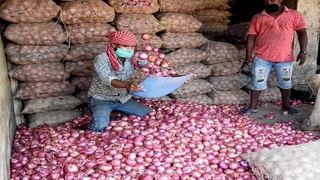 Agriculture News : नंदुरबार जिल्ह्यातील शेतकरी या कारणामुळे सेंद्रिय शेतीकडे वळला, चांगला दर मिळत असल्यामुळे…