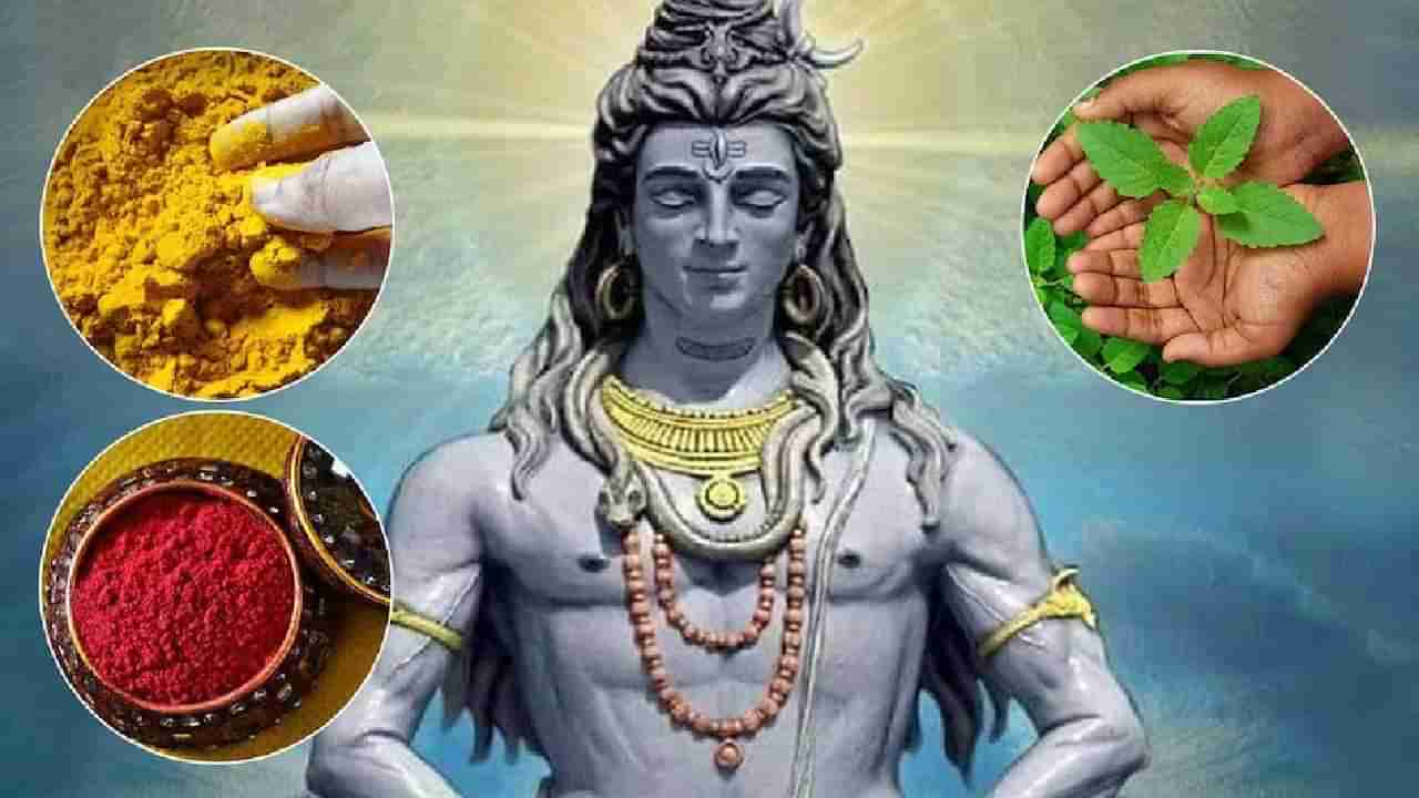 Mahashivratri 2023: महादेवाला तुळस का वाहू नये, अनेकांना माहिती नाही हे कारण