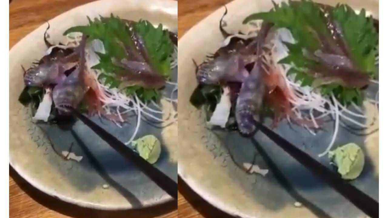 असं घडलंय का? मासा खायला गेल्यावर तो अचानक जिवंत झालाय का? VIDEO