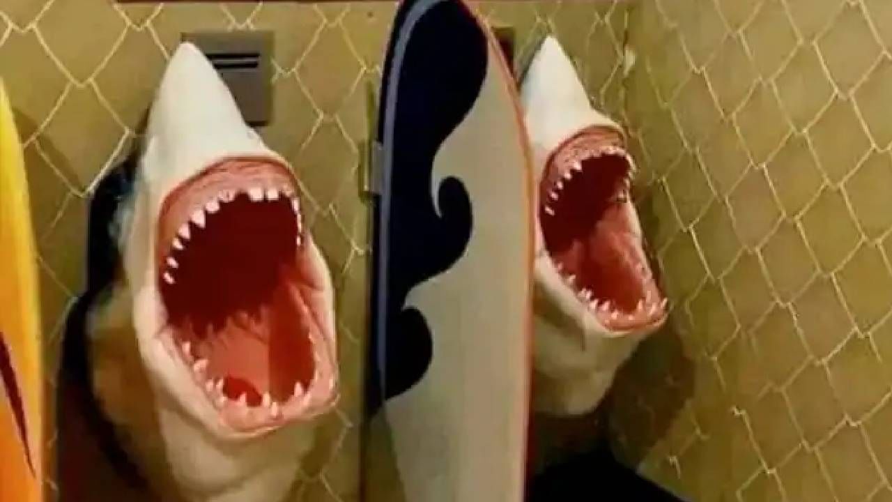 Shark Toilet viral