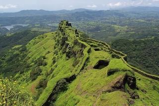 शेवटी काळजाच तुकडा तो, ताटातुट झालेल्या बछडयांची आणि तीची पुन्हा भेट झाली, घटना सीसीटीव्ही कैद