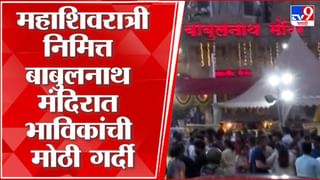 Video : वाघ दिसला की गावात एकच गोंधळ; आरडाओरडा अन् धावपळ…