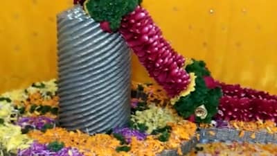 पुण्यातील युवकाने नाण्यांचा वापर करुन बनवले अनोखे शिवलिंग, किती लागली नाणी