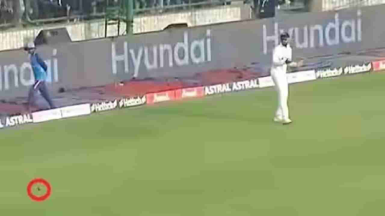 IND vs AUS Test :  KL Rahul चा फिल्डिंग करताना डोळा लागला? हा घ्या पुरावा, VIDEO