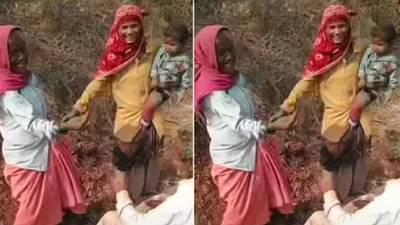 Video : या वयात शेतात काम करणाऱ्या काकूंनी काकांना फुल दिलं, म्हणाल्या आय लव्ह यू, मग...