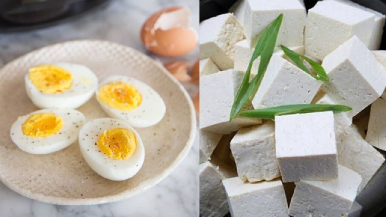 अंडी आणि पनीर एकाच वेळी खाल्ल्याने पोट कमी होतं? आहारतज्ञ काय म्हणतात