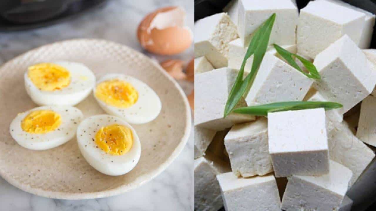 अंडी आणि पनीर एकाच वेळी खाल्ल्याने पोट कमी होतं? आहारतज्ञ काय म्हणतात वाचा