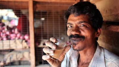 दिवसभरातून किती कप चहा प्यायला पाहिजे?