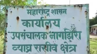 वनकर्मचारी-गावकऱ्यांचा संघर्ष टोकाला; वनरक्षकाला गावकऱ्यांनी ठोकले, कारण काय?