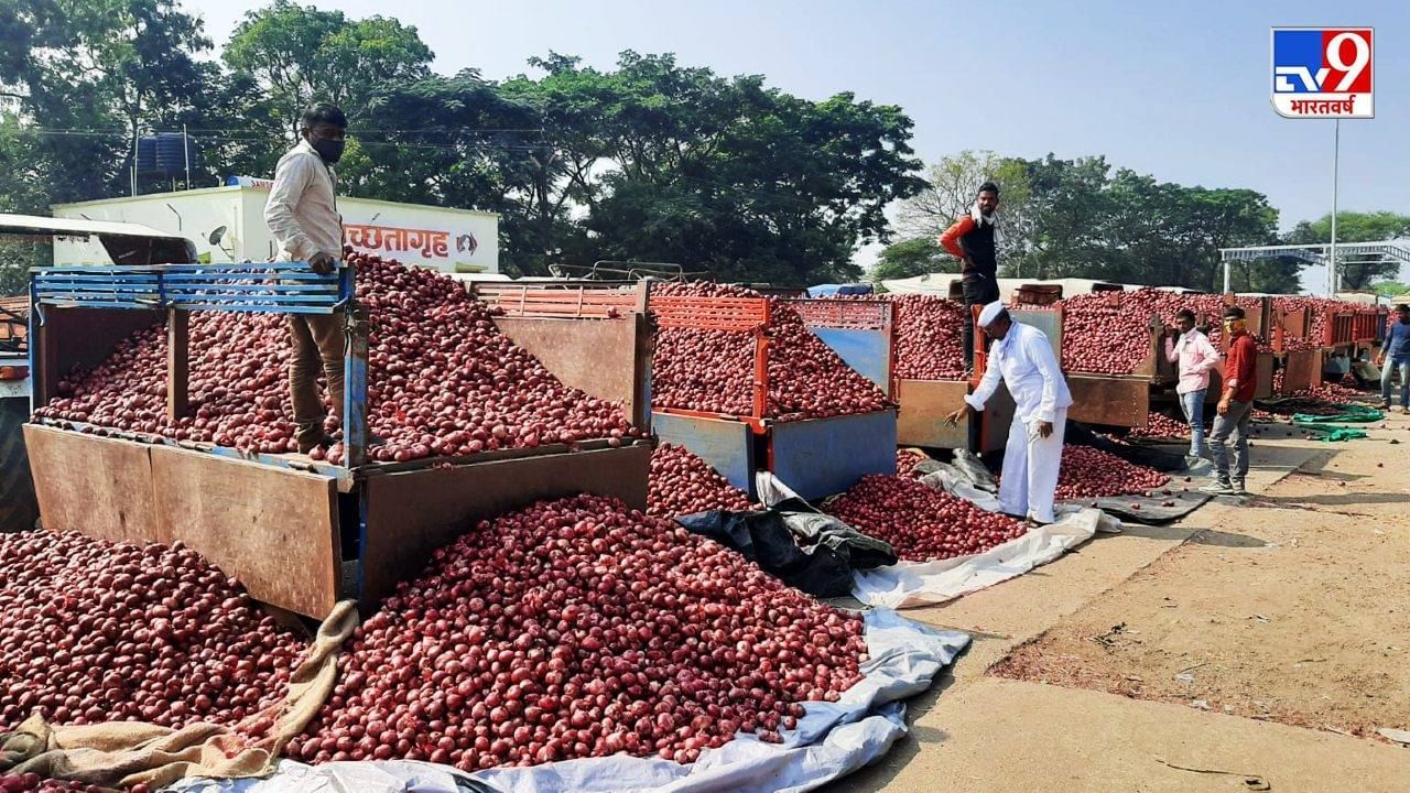 Onion Price : कांद्याने शेतकऱ्यांचा केला वांदा, बाजारभावात इतक्या रुपयांची मोठी घसरण