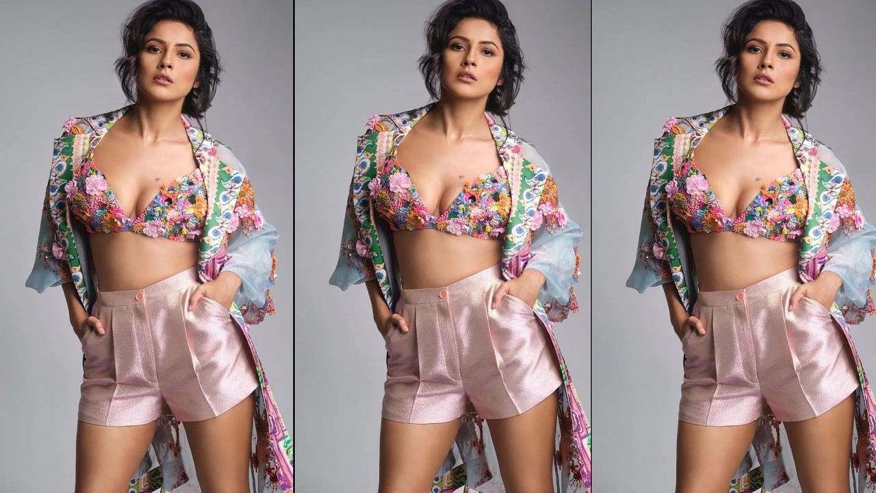 शहनाज गिल कायम चाहत्यांचं मनोरंजन करताना दिसते. तिचा देसी अंदाज चाहत्यांना प्रचंड आवडतो. आपल्या खास अंदाजाने तिने चाहत्यांचं मनोरंजन केलं. पण आता मात्र शहनाज ट्रोल होत आहे. (Shehnaaz Gill life)