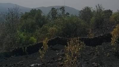 काजूच्या बागेला लागलेली आग विझवायला गेले, मात्र स्वतःच होरपळले !