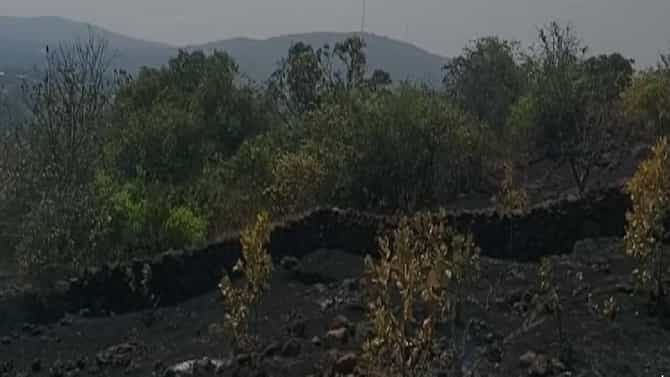 काजूच्या बागेला लागलेली आग विझवायला गेले, मात्र स्वतःच होरपळले !