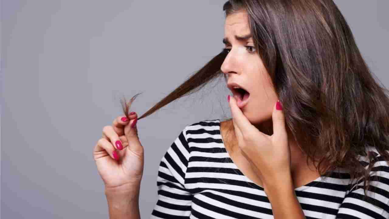 Split Ends मुळे खुंटली केसांची वाढ ? ही काळजी घेतली तर समस्या होईल दूर, केस दिसतील सुंदर