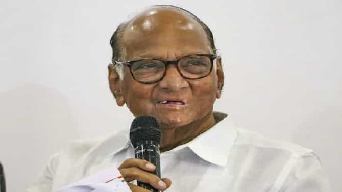 चिंचवडची निवडणूक तिरंगी, पण... अपक्ष उमेदवार राहुल कलाटे यांच्यावर शरद पवार स्पष्टच बोलले...