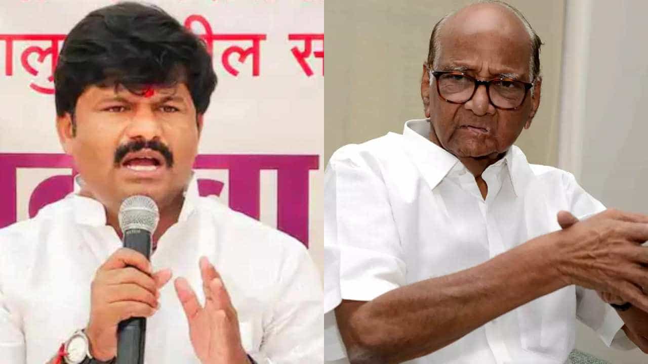 शरद पवार यांना शकुनी काकाची उपमा देत गोपीचंद पडळकर यांची उद्धव ठाकरे यांच्यावर टीका