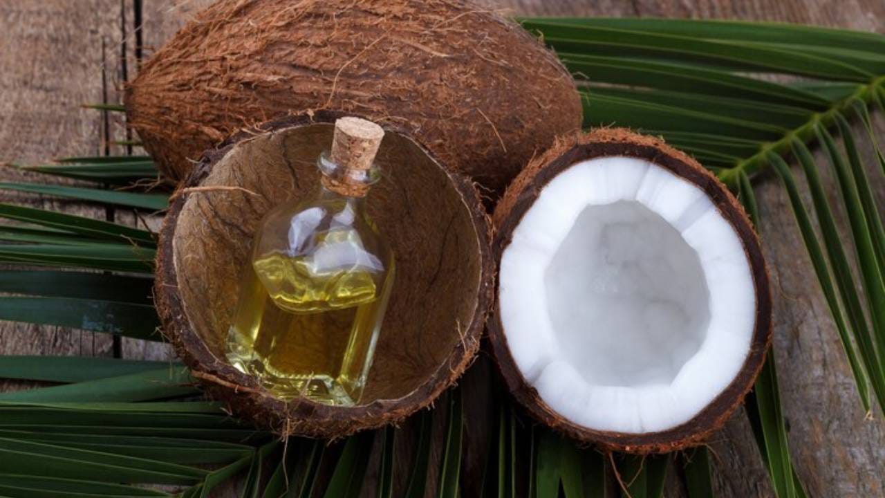 खोबरेल तेल - नारळाच्या तेलाचा वापर भुवयांसाठी सर्वोत्तम सौंदर्य उपचार देखील सिद्ध होऊ शकतो. त्यासाठी हातावर खोबरेल तेल घेऊन भुवयांना लावा. ही कृती दिवसातून दोनदा केल्यास तुमच्या भुवया जाड आणि काळ्या होतील. 