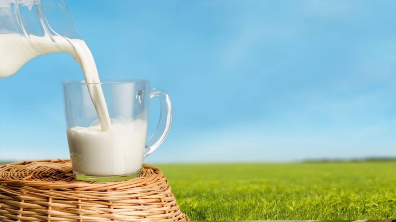  कच्चे दूध - काळ्या आणि चमकदार भुवया मिळविण्यासाठी तुम्ही कच्चे दूध वापरू शकता. अशावेळी कापसाच्या साहाय्याने भुवयांवर कच्चे दूध लावा. दिवसातून एकदा लावल्याने तुमच्या डोळ्यांच्या भुवया काळ्या आणि चमकदार होतील.