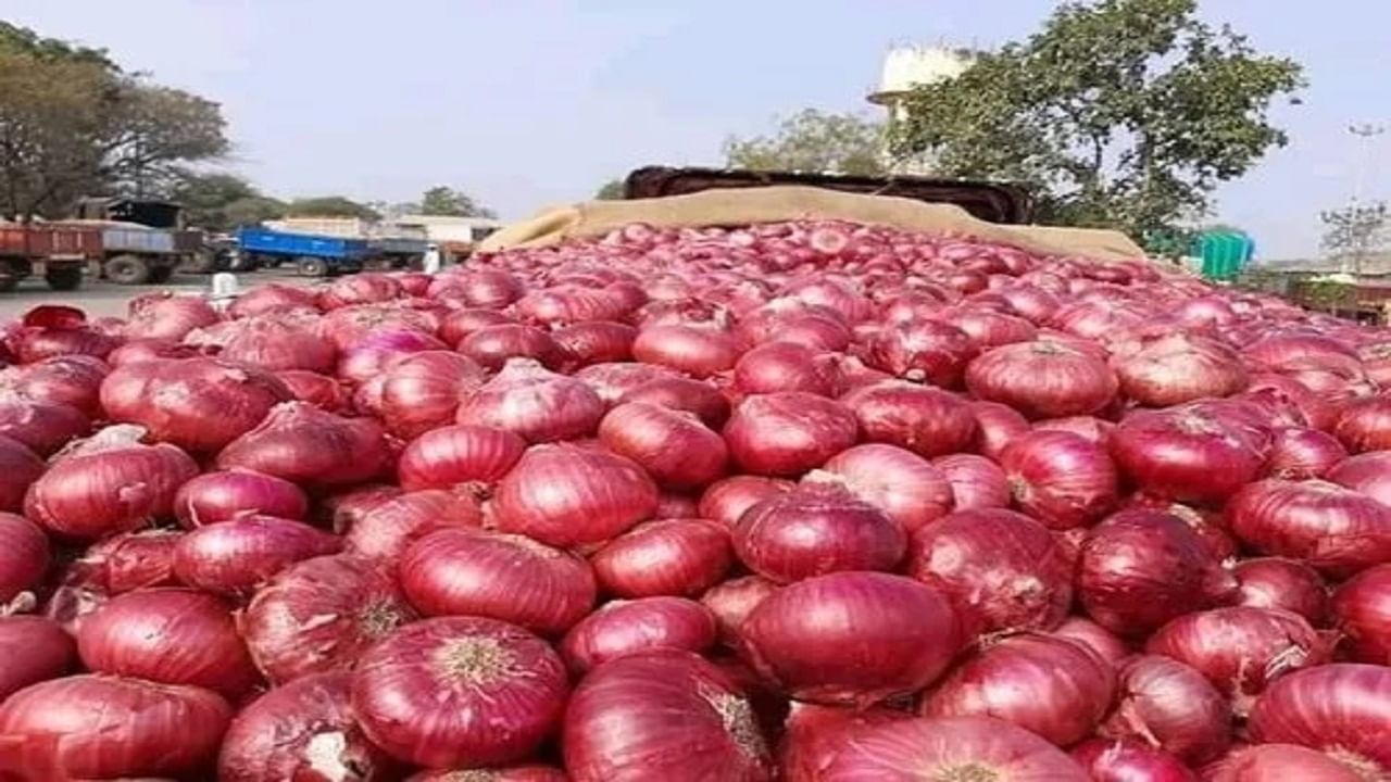 कांद्याच्या मुद्द्यावरून आंदोलनाची ठिणगी, सरकारने लवकर हस्तक्षेप करावा अन्यथा... कांद्याच्या मुद्द्यावरून आंदोलनाची ठिणगी, सरकारने लवकर हस्तक्षेप करावा अन्यथा...