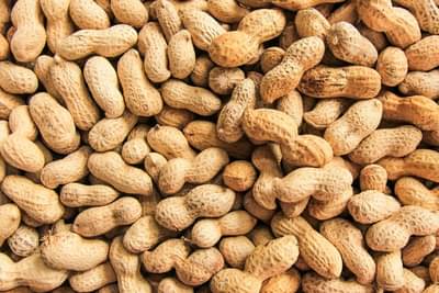 शेंगदाणे खाणे आरोग्यासाठी चांगले, या आजारावर आहे लाभदायक