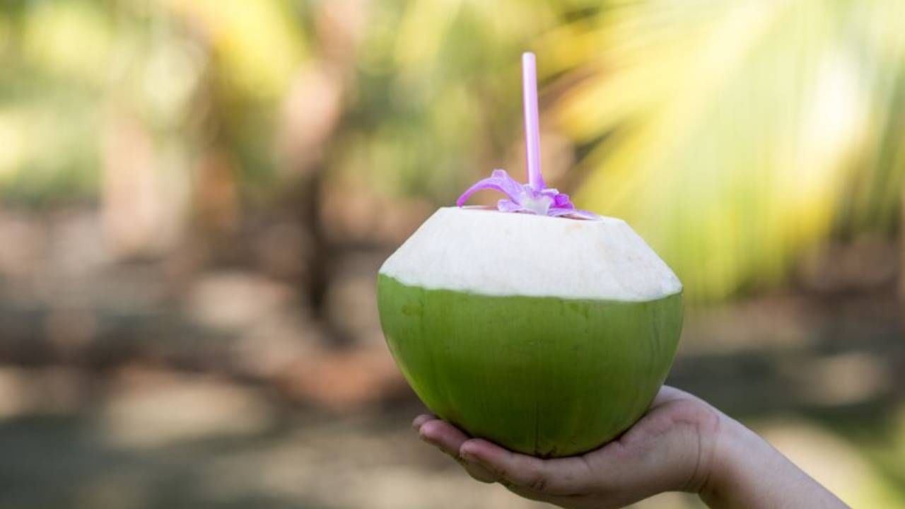 Coconut Water Health Benefits नारळपाणी प्याल तर स्वस्थ रहाल, उन्हाळ्यात मिळतील अनेक फायदे