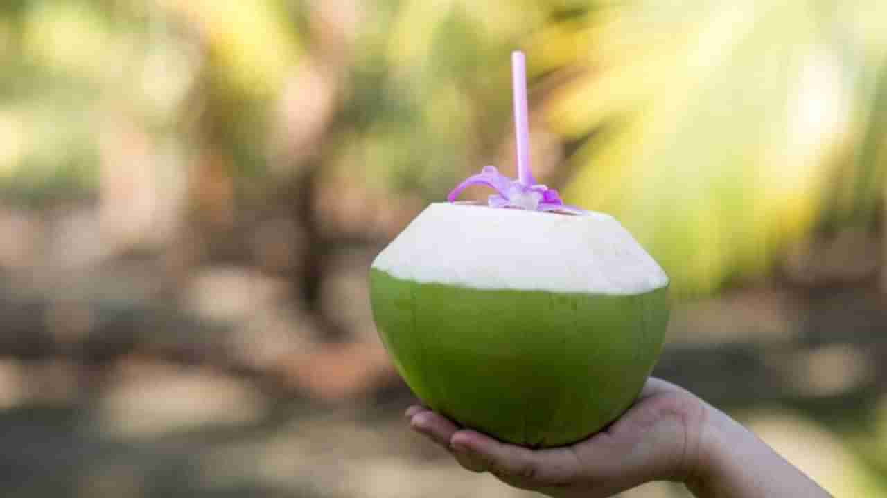 Coconut Water Health Benefits: नारळपाणी प्याल तर स्वस्थ रहाल,  उन्हाळ्यात मिळतील अनेक फायदे