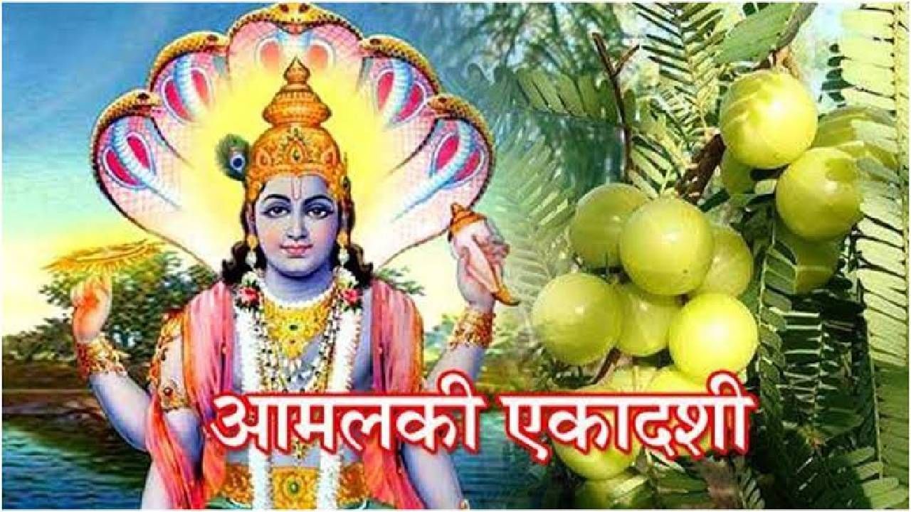 Amlaki Ekadashi 2023 : आज आमलकी एकादशी, जाणून घ्या मुहूर्त आणि महत्व