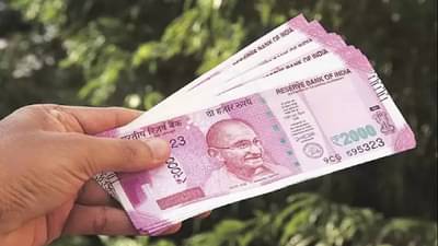 Indian Currency Note : तुम्हाला काय वाटलं कागदापासून तयार होते भारतीय नोट?