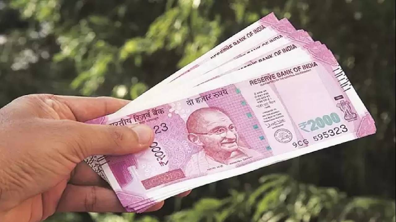 Indian Currency Note : तुम्हाला काय वाटलं कागदापासून तयार होते भारतीय नोट?