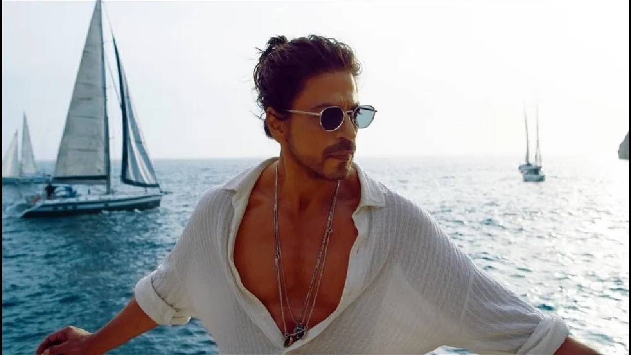 Shah Rukh Khan | या पाकिस्तानी अभिनेत्याच्या निशाण्यावर शाहरुख खान याचा चित्रपट, थेट खिल्ली उडवत म्हटले की...