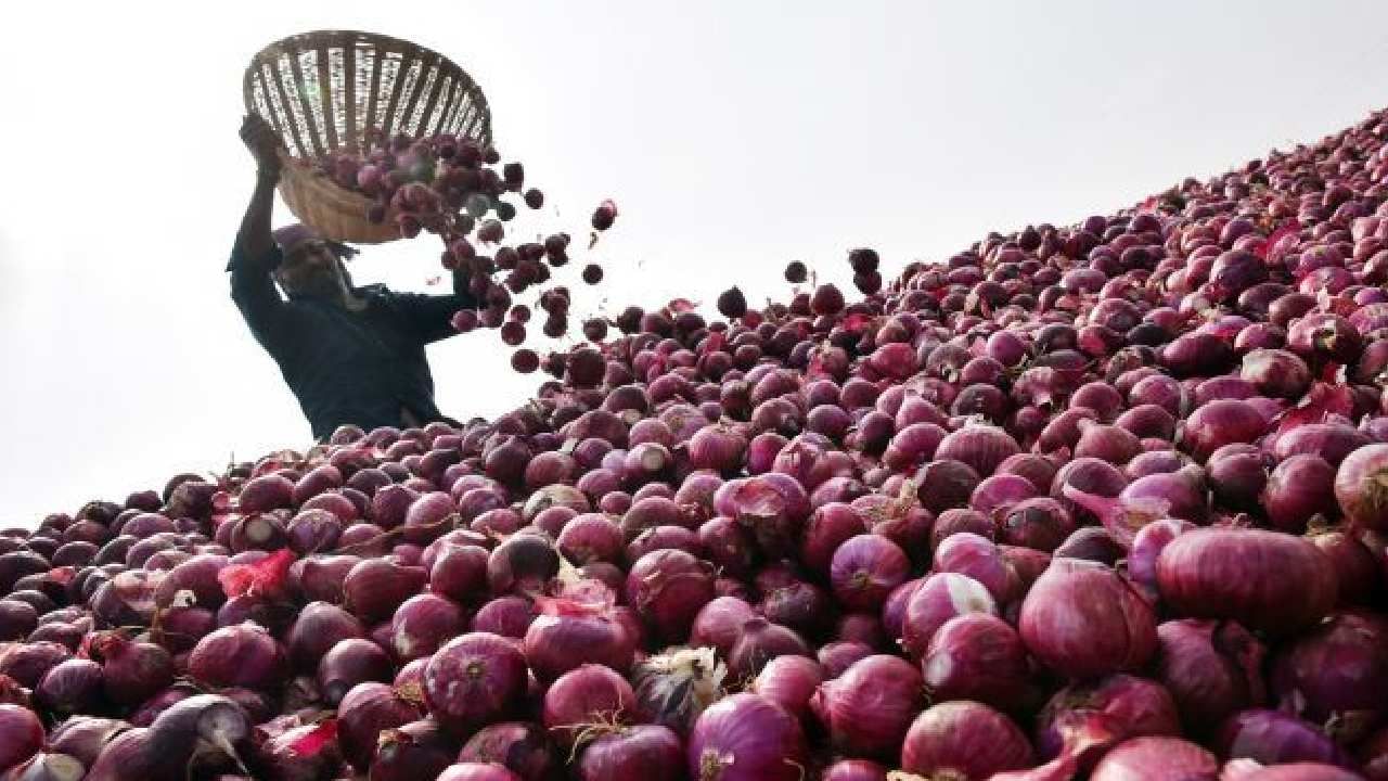 Red onion : या कारणामुळे कांदा उत्पादक संकटात, सरासरी प्रति क्विंटलमागे १३०० रुपये नुकसान