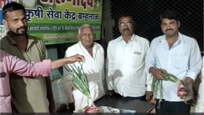 हा कांदा आहे की, कांदोबा; वजन सरासरी इतके ग्रॅम, चर्चा या कांदा उत्पादकाची