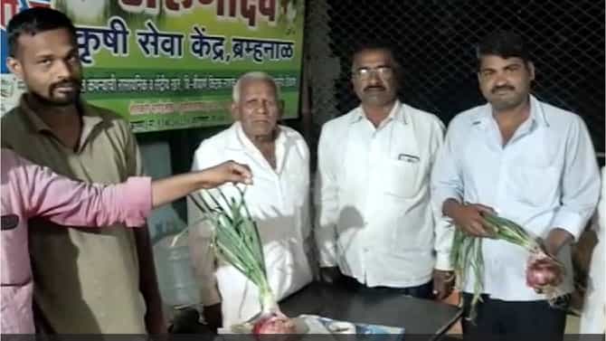 हा कांदा आहे की, कांदोबा; वजन सरासरी इतके ग्रॅम, चर्चा या कांदा उत्पादकाची