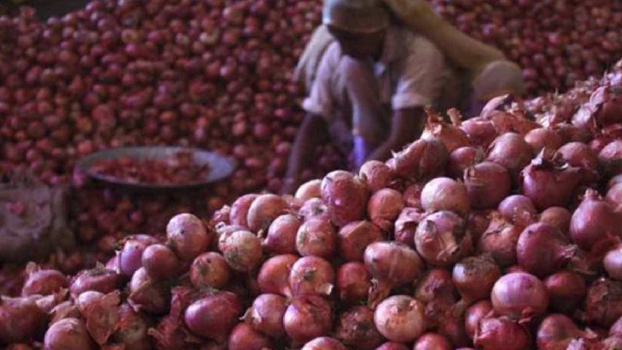 कांद्याच्या दरात घसरण स्वाभीमानी शेतकरी संघटनेसह शेतकरी रस्त्यावर; पाहा व्हीडिओ...