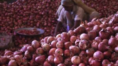 कांद्याच्या दरात घसरण स्वाभीमानी शेतकरी संघटनेसह शेतकरी रस्त्यावर; पाहा व्हीडिओ…