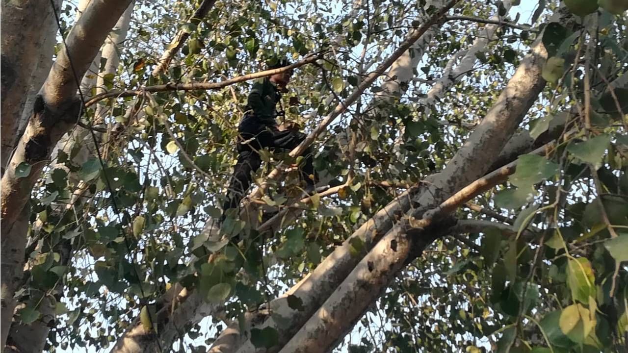 आधी झाडावर चढून विरुगिरी केली, नंतर स्वतःला बाथरूममध्ये कोंडले; गोंदियात नेमकं काय घडलं?