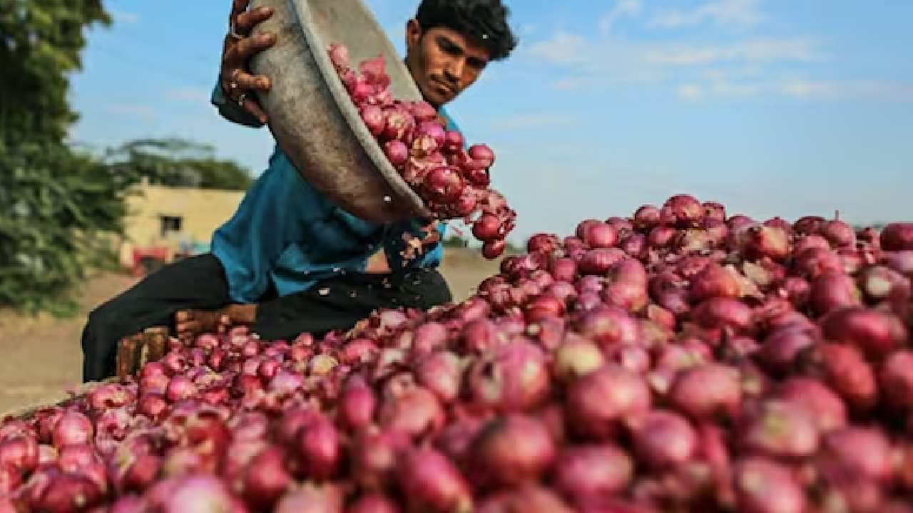 शिंदे सरकार कांदा उत्पादक शेतकऱ्यांच्या डोळ्यांमधील अश्रू पुसणार? अधिवेशनात महत्त्वाचा निर्णय
