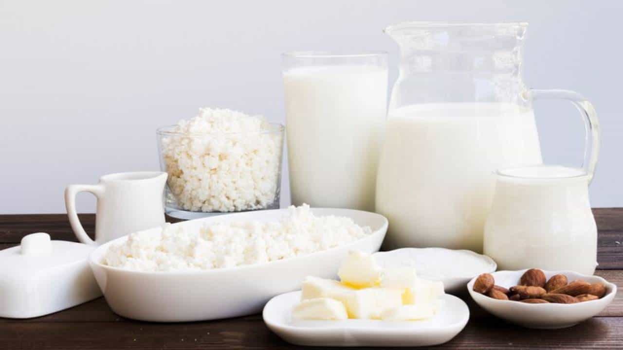 Calcium Deficiency : कमकुवत हाडं, सांध्यामध्ये वेदना... कॅल्शिअमच्या कमतरतेमुळे शरीरात दिसतात अशी अनेक लक्षणे, कोणत्या पदार्थांचे सेवन ठरते फायदेशीर ते जाणून घ्या..