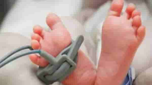बेवारस कुत्र्यांचा हैदौस; आईपासून महिन्याभराचे बाळ हिरावले