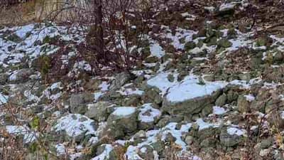 या चित्रात खारुताई शोधून दाखवा!