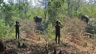 कुणाल टिळक यांच्याकडून रवींद्र धंगेकर यांना शुभेच्छा, कुणाल टिळक यांचा रोख कुणावर ?