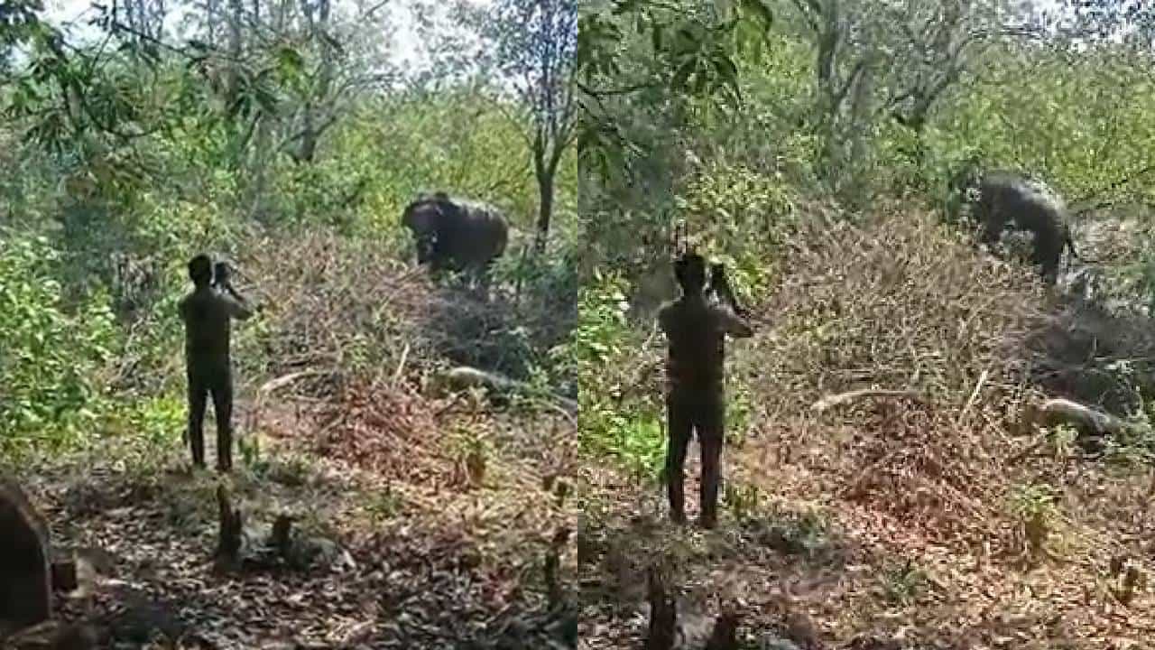 गजराज जमूनठमून आला; गणपती बाप्पा मोरयाचा गजर करताच निघून गेला
