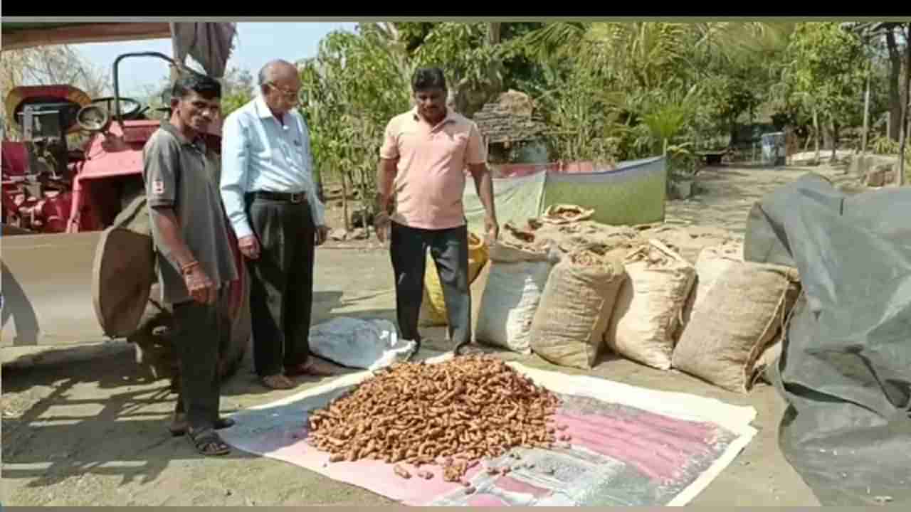 सेंद्रिय पद्धतीने शेती करा, लाखो रुपये कमवा, पीकं पाहायला शेतकऱ्यांची गर्दी