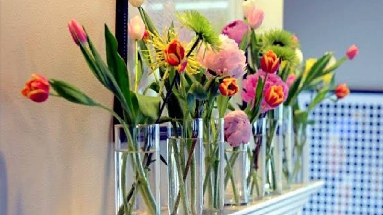 Vastu Tips : वास्तूशास्त्रानुसार अशाप्रकारच्या फुलांनी घरात येते नकारात्मकता, वातावरण बनते तणावग्रस्त Vastu Tips : वास्तूशास्त्रानुसार अशाप्रकारच्या फुलांनी घरात येते नकारात्मकता, वातावरण बनते तणावग्रस्त