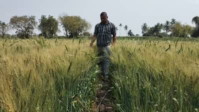 या पीकाला चांगला भाव मिळत नसल्यामुळे शेतकऱ्यांनी घेतला टोकाचा निर्णय