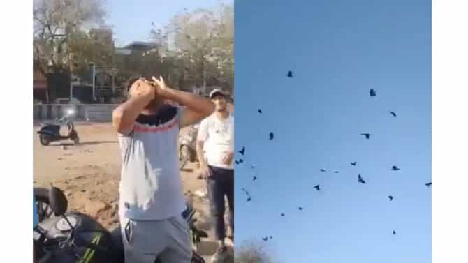 हा माणूस कावळ्यांशी बोलतो, आवाज देताच कावळे होतात जमा! व्हिडीओ